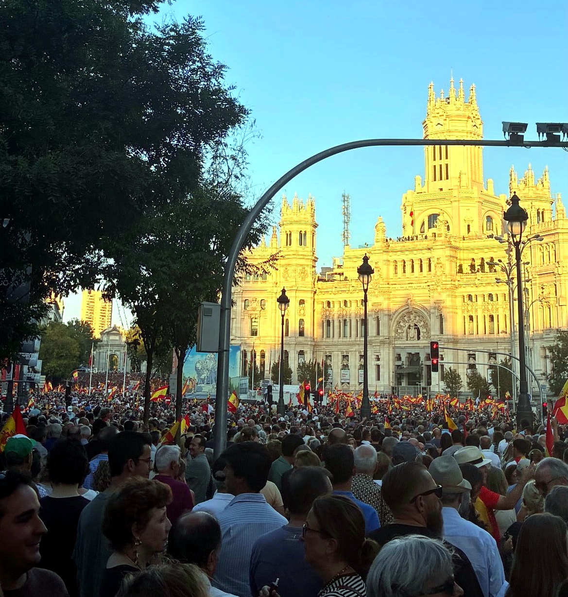 Manifestación en Madrid junto al Palacio de Cibeles