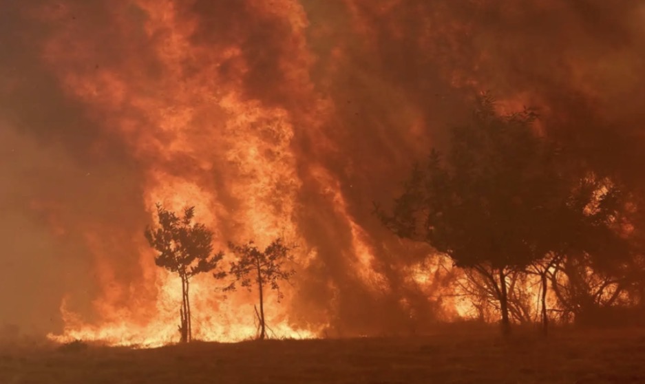Incendio forestal en España